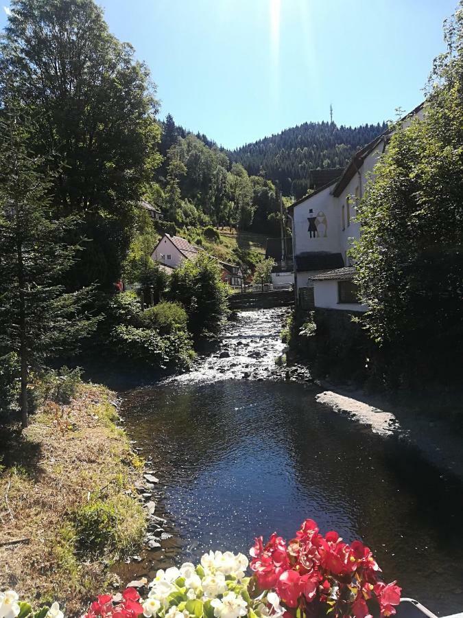 Ferienwohnung zur alten Post Bad Grund Exterior foto